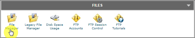 cPanel File Manager Option